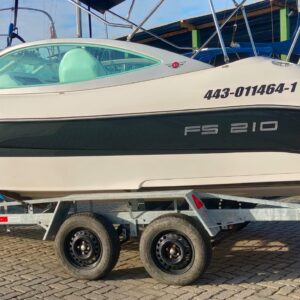 FS 21 2008