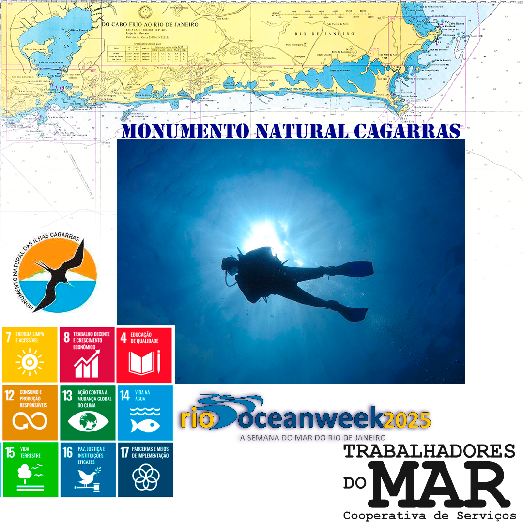 Leia mais sobre o artigo Rio Ocean Week 2025