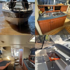 Bayliner 310